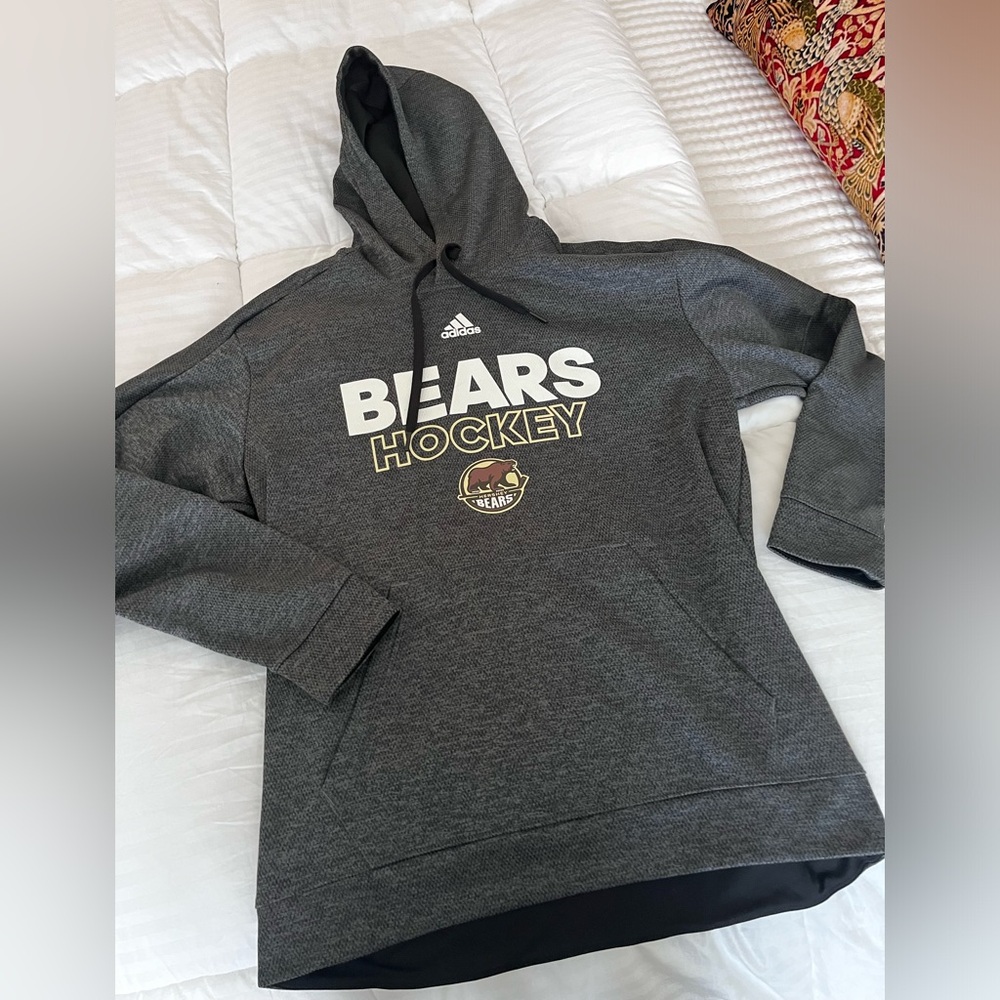 Hershey Bears hooded sweatshirt.sz large either in women’s or youth